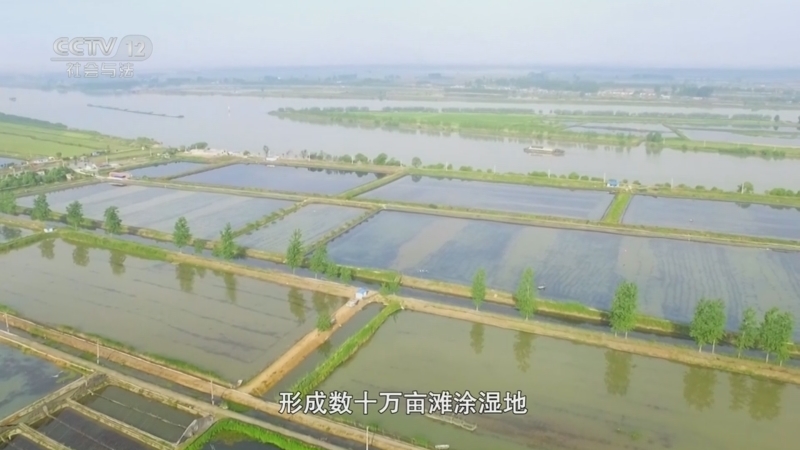 现场 《现场》 20250906 毒杀小龙虾
