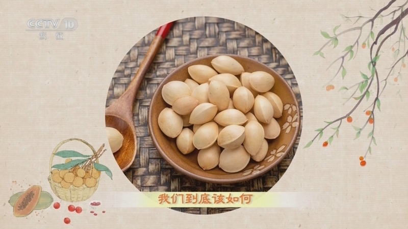 百家讲坛 《百家讲坛》 20240201 舌尖上的养生 1 千年传奇是白果