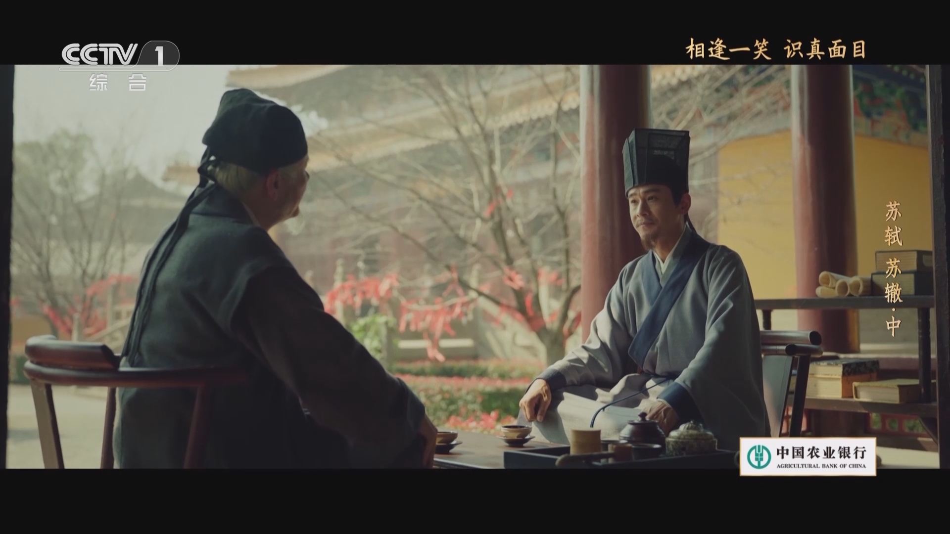 《宗师列传·唐宋八大家》 20240119 苏轼 苏辙·中