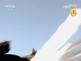 自然传奇 《自然传奇》 20170317 生死决斗