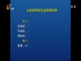 山东新闻联播 《山东新闻联播》 20141103