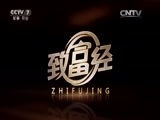 致富经 《致富经》 20151110 九天九夜带你破解亿万财富的秘密
