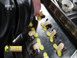 消费主张 《消费主张》 20180223 家乡的年味儿：山东曲阜