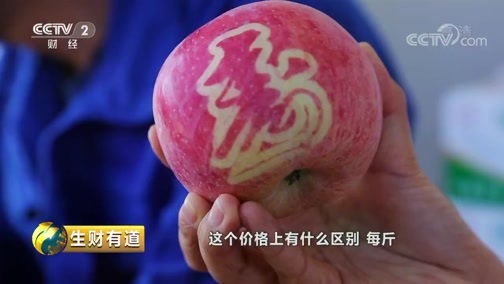 生财有道 《生财有道》 20181218 咱们家乡有特产——苹果：延安宝塔区的财富名片