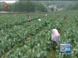 贵州新闻联播 《贵州新闻联播》 20180509