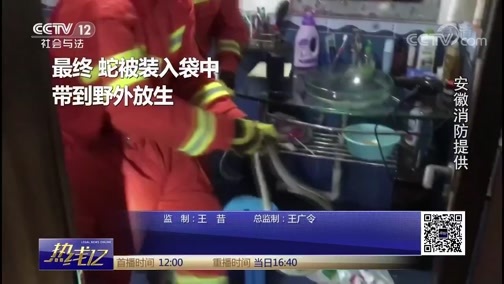 热线12 《热线12》 20190921