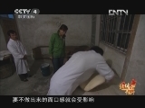 远方的家 特别节目 第七集 面面俱到 《远方的家》 20130404