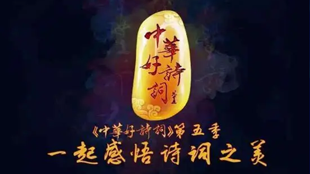 中华好诗词 宁桓宇川音学霸变诗词学渣