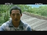 为你而战 《为你而战》 20130901