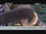 致富经 《致富经》 20150112 任性赚钱