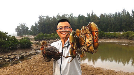渔夫跑几十公里找新地方赶海，野生螃蟹又大又多，抓爽了