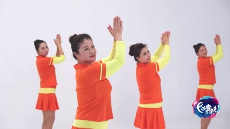 光芒-李萍（导视）