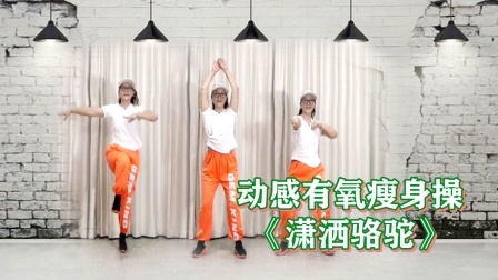 动感有氧减肥操《潇洒骆驼》越跳越来劲