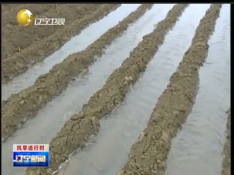 辽宁新闻 《辽宁新闻》 20140807