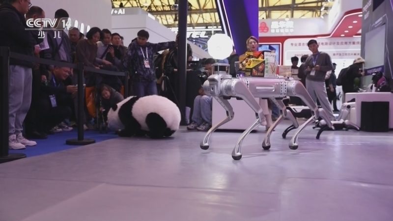 《新闻袋袋裤》 20260316