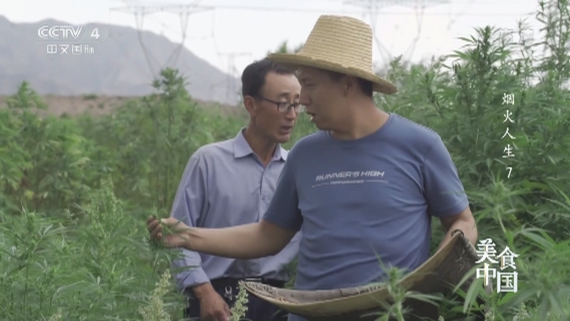 美食中国 《美食中国》 20220914 烟火人生（7）