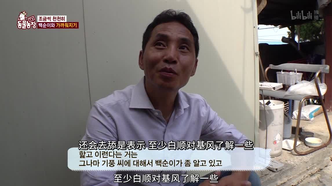 动物农场2020 熊猫二世分娩现场