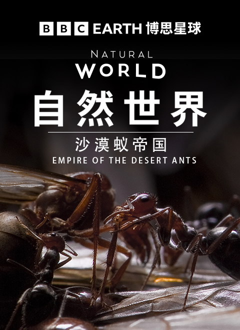 自然世界：沙漠蚁帝国（Empire of the Desert Ants） 海报