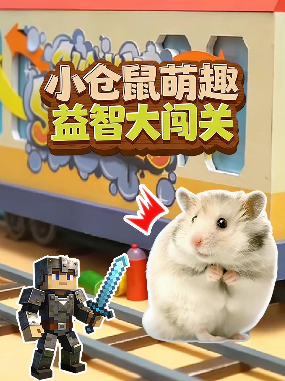小仓鼠萌趣益智大闯关