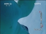 动物世界 《动物世界》 20130104 自然界里的哈利·波特 （三）