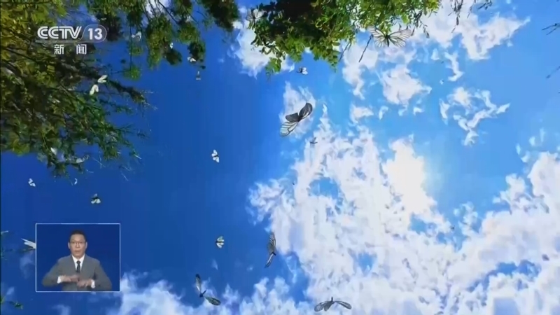 《共同关注》 20260528