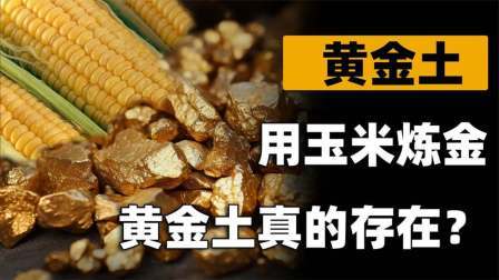 河南发现黄金土（下）土壤中能筛出黄金，村民用玉米棒子炼金致富