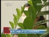每周质量报告 《每周质量报告》 20130721