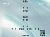 《特别呈现》 20140918 微观战场 第一集 昆仑关战役