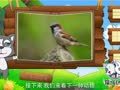 看图识物 伯劳 麻雀 乌鸦