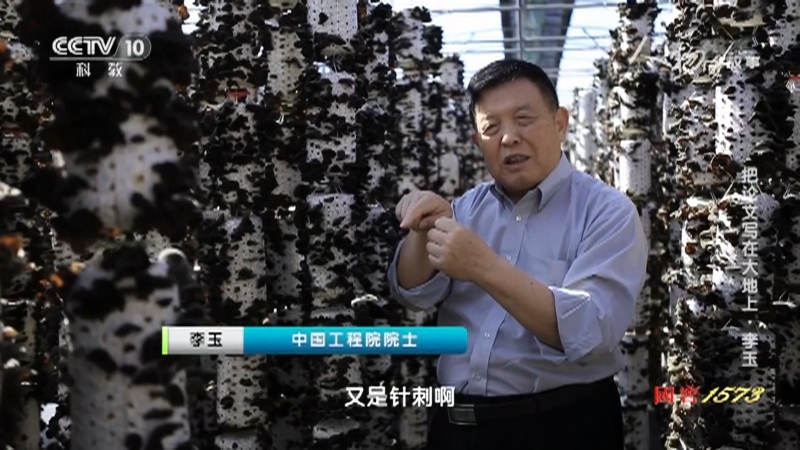 人物&middot;故事 《人物·故事》 20201207 把论文写在大地上·李玉