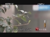 今日说法 《今日说法》 20140328 围剿钓鱼车