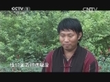 中华民族 《中华民族》 20141111 云岭颂歌 太阳眷恋的地方