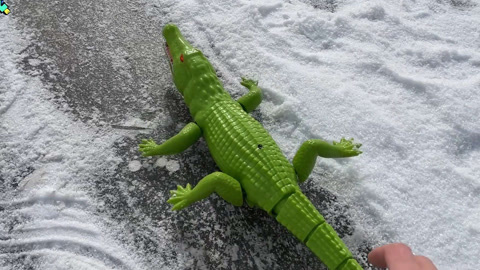 恐龙蛋里发现遥控机械鳄鱼