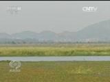 焦点访谈 《焦点访谈》 20161122 重构长江经济带
