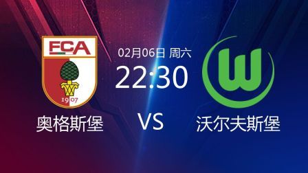 2020-2021德甲联赛第20轮 奥格斯堡VS沃尔夫斯堡
