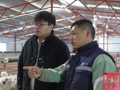 信用中国 林圣罡 从牧场到餐桌的 舌尖守护