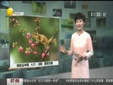 第一时间 《第一时间-辽宁》 20180422