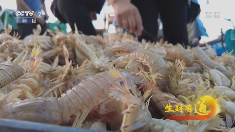 生财有道 《生财有道》 20220527 生态中国沿海行——山东蓬莱：海边夏日多美味