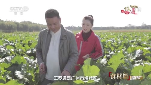 味道 《味道》 20190622 甄选版（36）食材篇 腊味