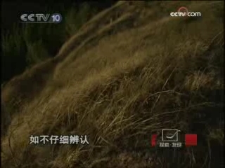 探索发现 发现皇帝城 第2集 圣地重现