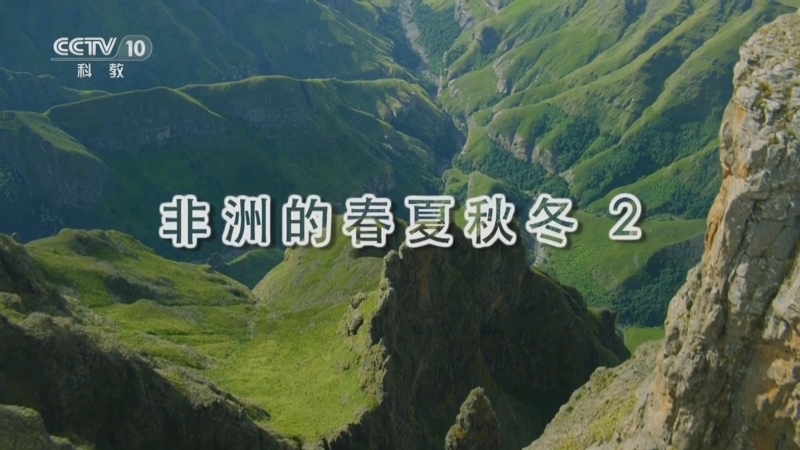 自然传奇 《自然传奇》 20251021 非洲的春夏秋冬 2