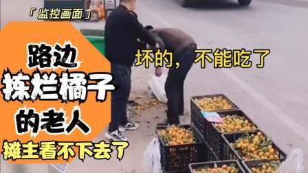 品人生百味第二季 男子正摆摊卖橘子，拾荒老人在旁边捡烂橘子，老板一把将他拽过来