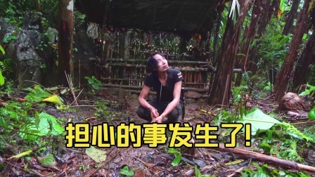 原始丛林人苏门答腊 第二季 担心的事情还是发生了，天气变冷后，一只小猪仔生病了