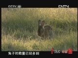 地理中国 《地理中国》 20121102 孤岛梦魇