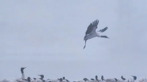 湖北新闻20210226
