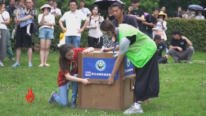 道德观察 《道德观察(日播版)》 20220306 一个动物园的追求（下）