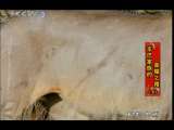 动物世界 动物世界 2010年 第69期