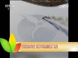 新闻袋袋裤 《新闻袋袋裤》 20151113