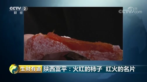 生财有道 《生财有道》 20190111 陕西富平：火红的柿子 红火的名片