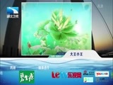 大王小王 《大王小王》 20150410 独腿80后 携母游中国